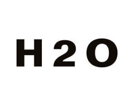 H20